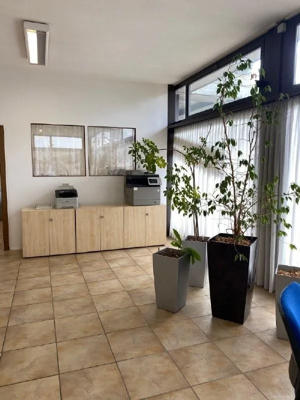 Bürofläche im Parterre zu vermieten