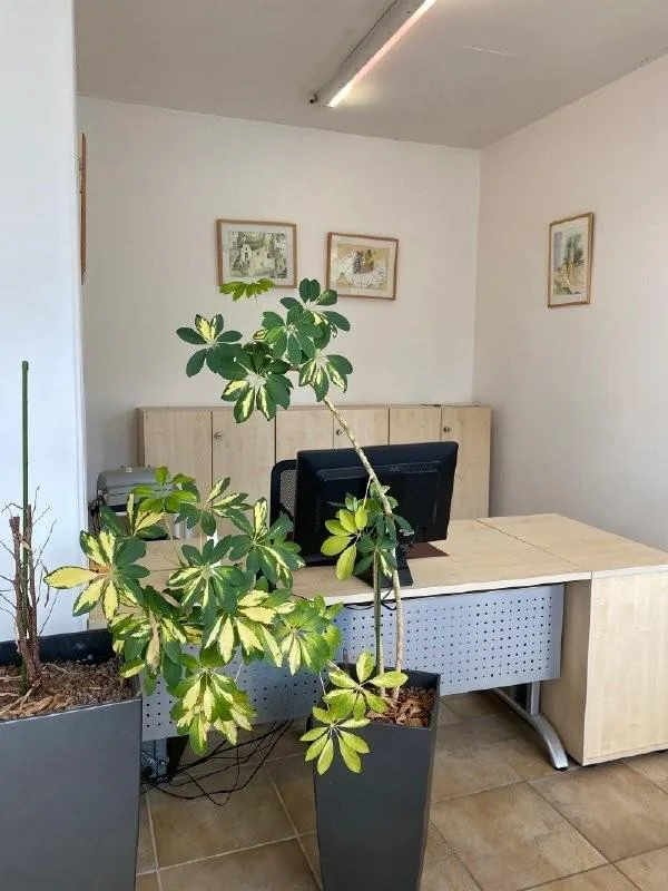 Bürofläche im Parterre zu vermieten – Foto 6 von 8