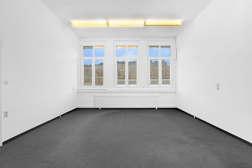 Unternehmerische Perspektiven für Büronutzung, Lagerfläche, Praxis,...