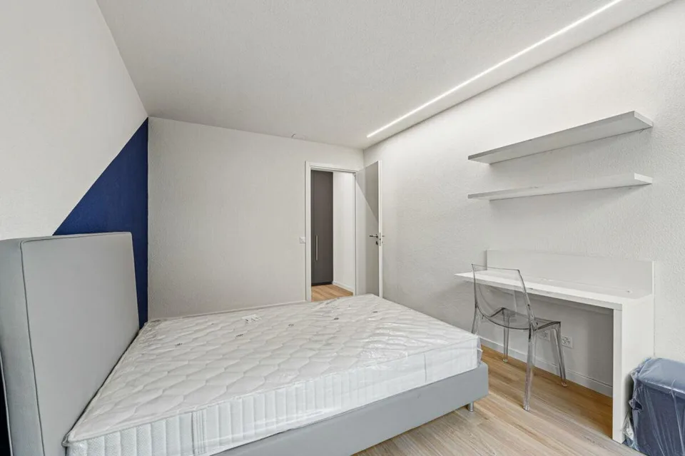 9100, Solatia 1, Lugano, Corso Elvezia, student room 311-EN