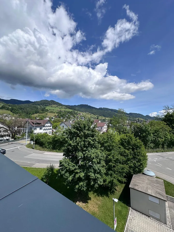 3.5 Zi.-Wohnung mit Panorama-Aussicht – Foto 18 von 18