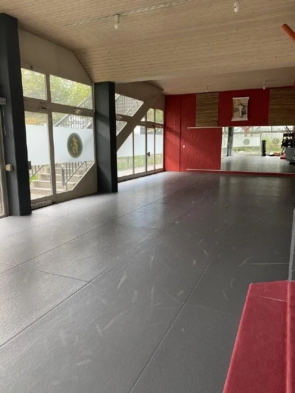 Gewerbe- oder Karateraum im Parterre (215 m2)