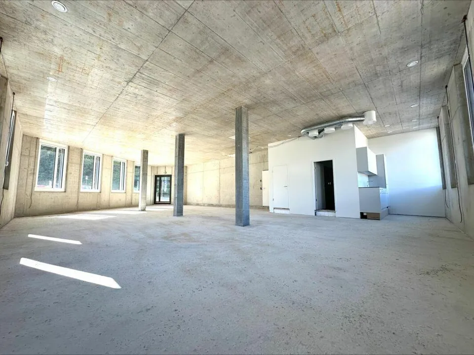 ERSTVERMIETUNG - Zukunftsorientierte Büro- oder Praxisfläche à 163 ...