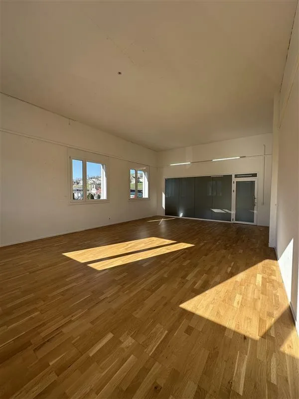 Grosszügige Büro- / Gewerberäumlichkeiten