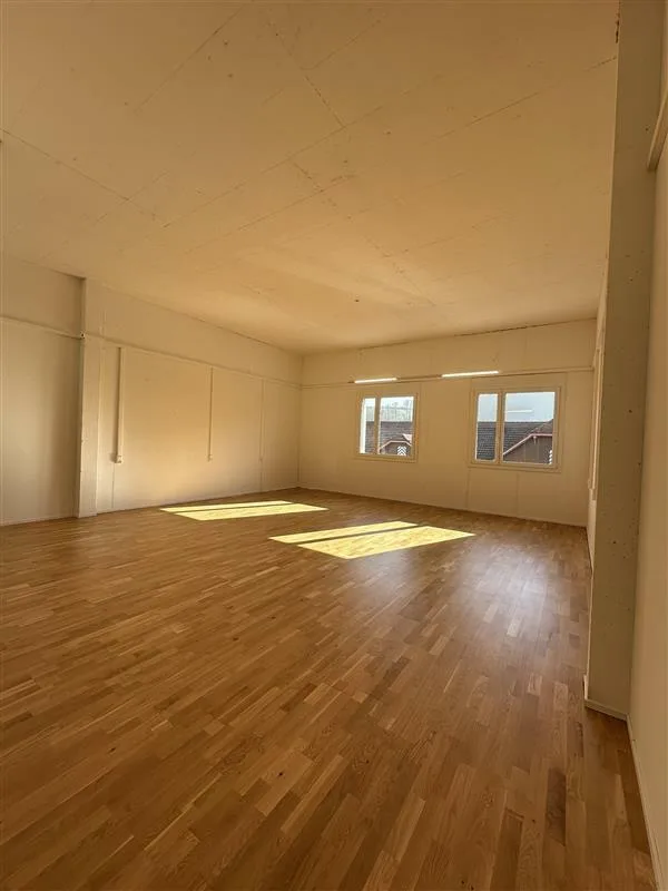Grosszügige Büro- / Gewerberäumlichkeiten