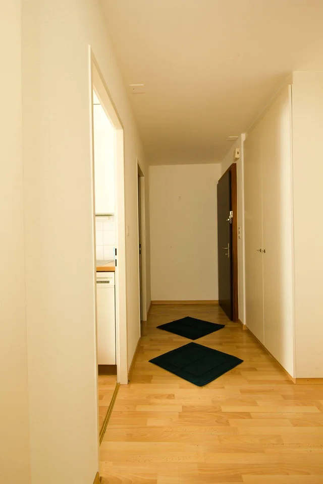 charmante 3.5 Zimmer-Wohnung an zentraler Lage zu vermieten – photo 7 sur 8