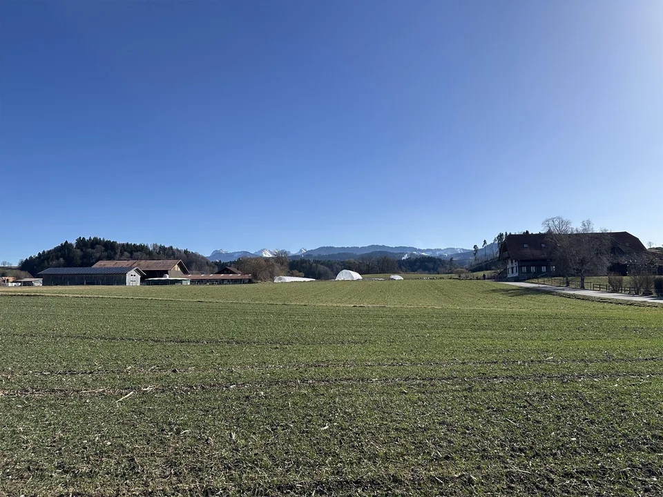 Raum für Praxis, Therapie & Betreuung – Ausbau nach Absprache – photo 17 sur 17