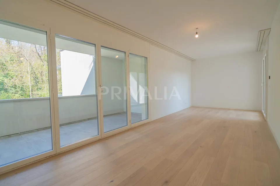 Superbe attique en duplex rénové avec terrasses et vue dégagée – foto 8 di 26