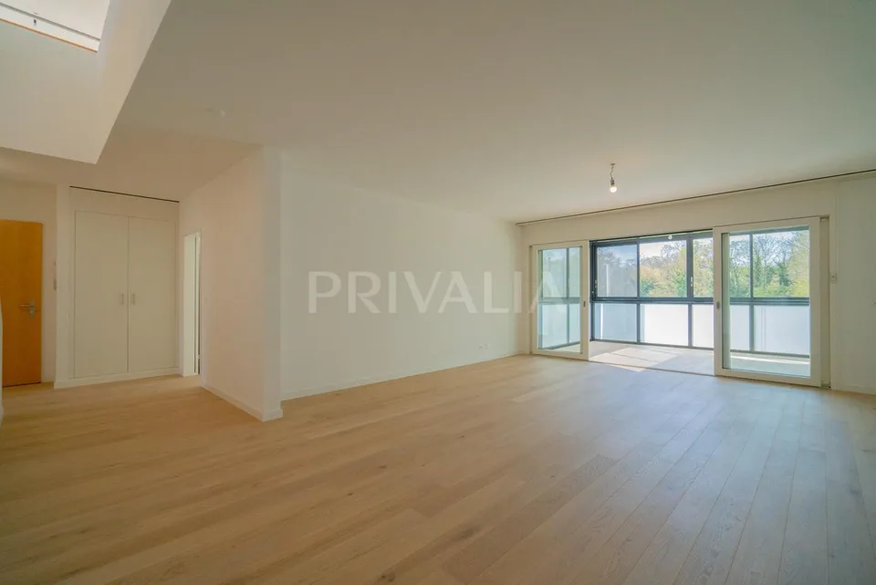 Superbe attique en duplex rénové avec terrasses et vue dégagée – foto 6 di 26
