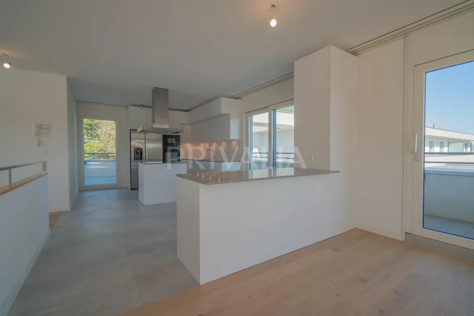 Superbe attique en duplex rénové avec terrasses et vue dégagée
