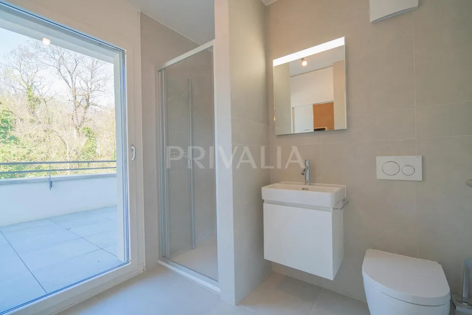 Superbe attique en duplex rénové avec terrasses et vue dégagée