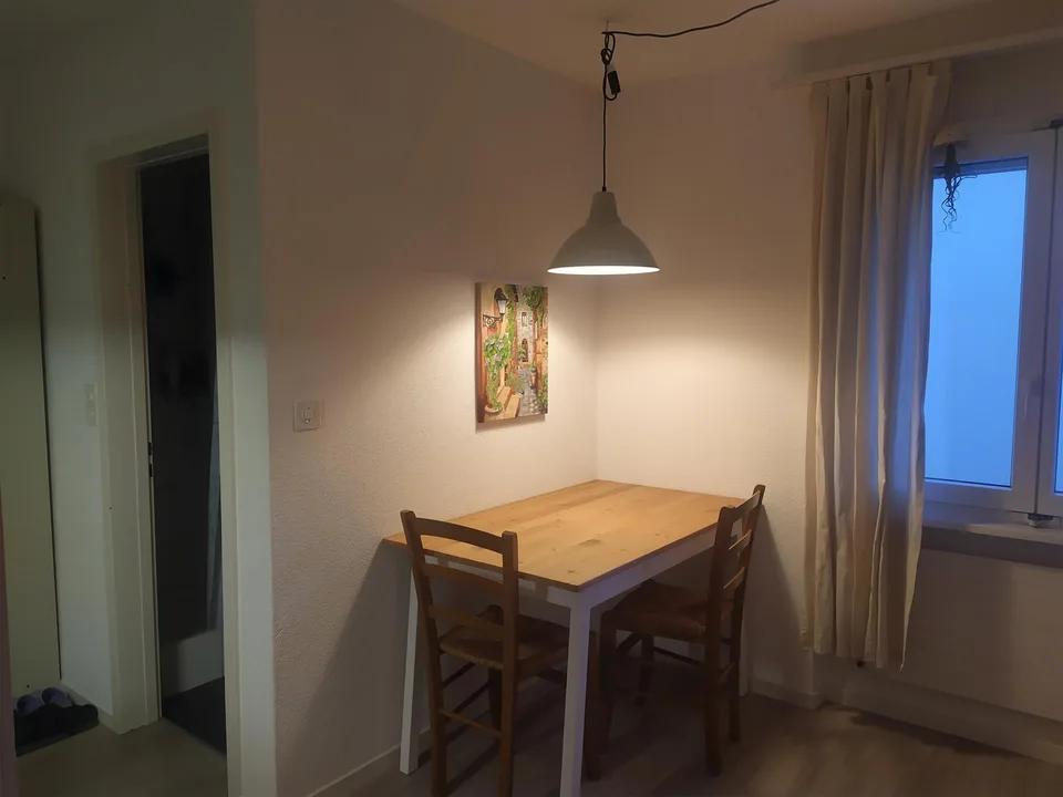 1-Zimmer-Wohnung in Buchs