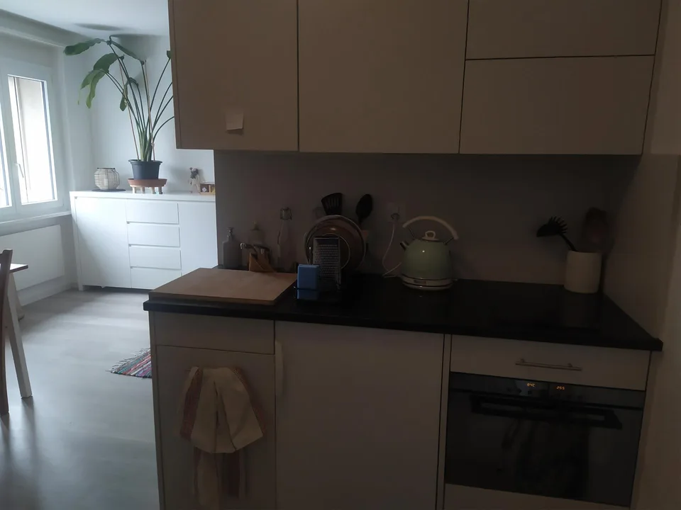 1-Zimmer-Wohnung in Buchs