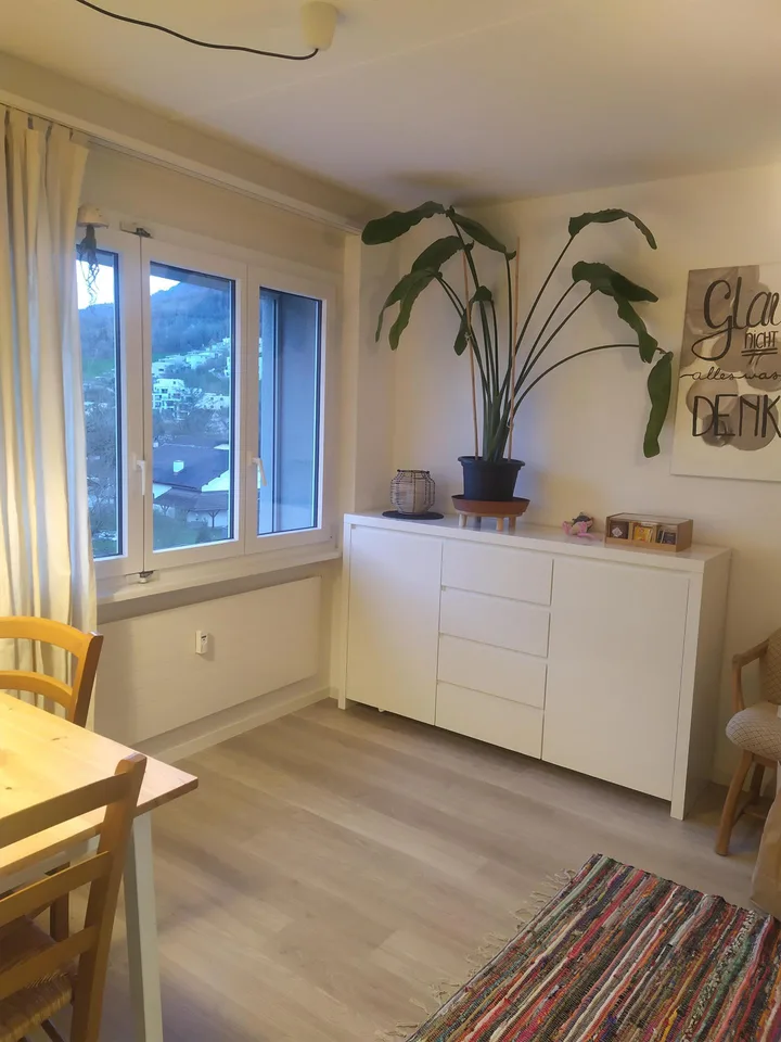 1-Zimmer-Wohnung in Buchs