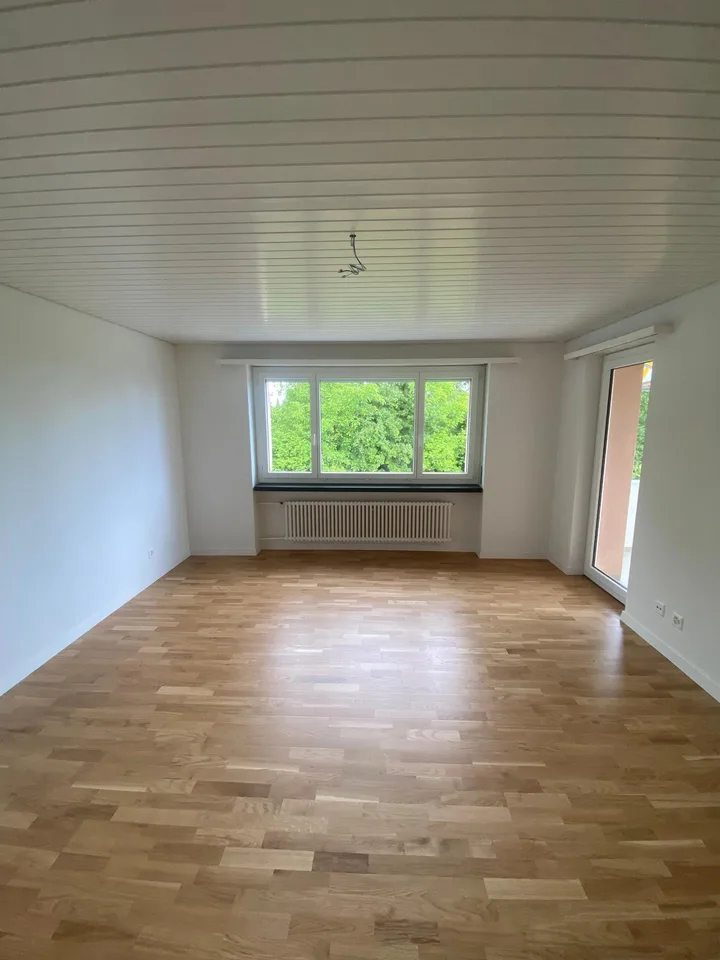 renovierte, sonnige 3-Zimmerwohnung