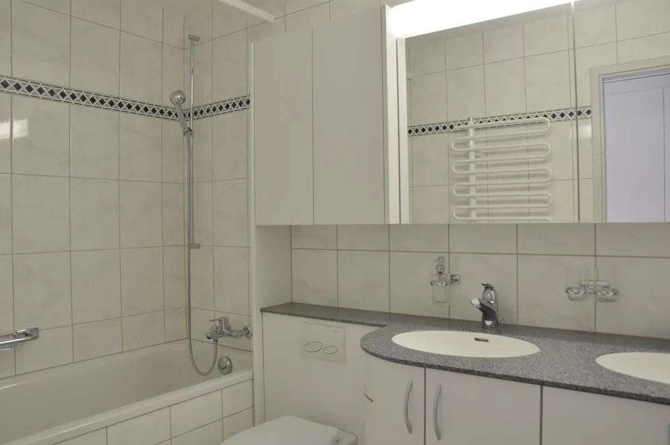 3.5-Zimmer-Stadtwohnung Riethüsliquartier
