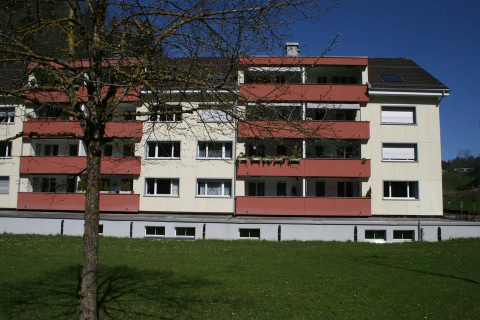 3.5-Zimmer-Stadtwohnung Riethüsliquartier