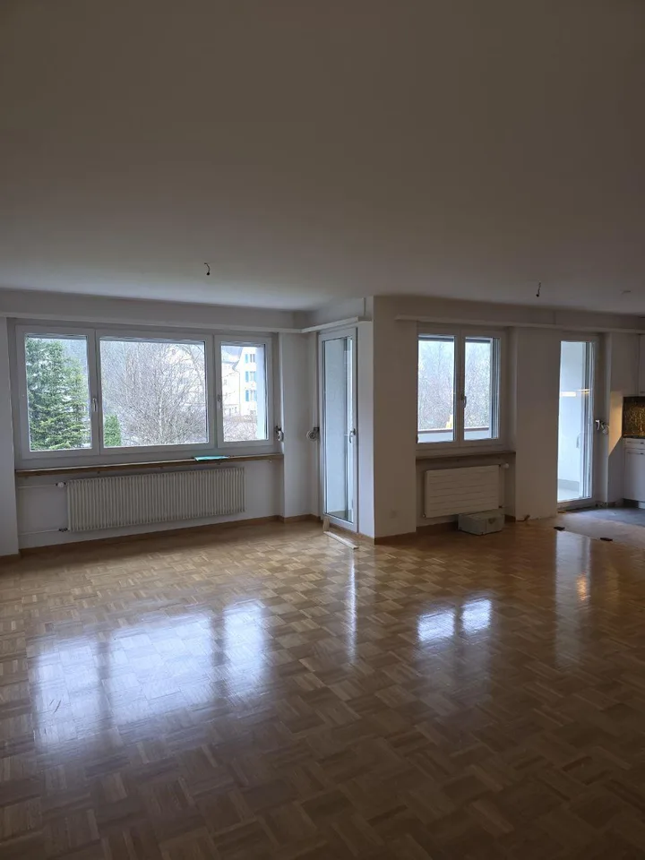 3.5-Zimmer-Stadtwohnung Riethüsliquartier
