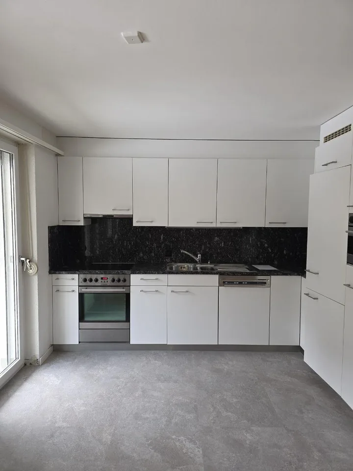 3.5-Zimmer-Stadtwohnung Riethüsliquartier