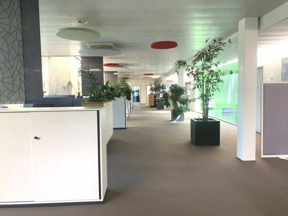 Bureau de 278 m2 très bon standing / loyer bon marché