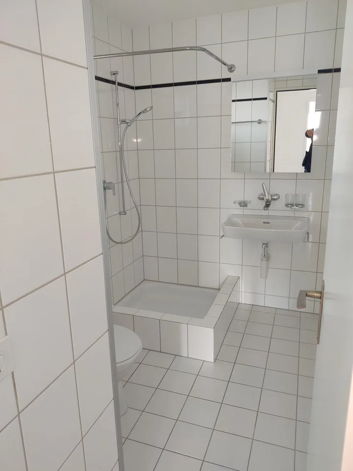 Grosse 4.5 Zimmer - Attikawohnung mit zwei Terrassen – Foto 13 von 13
