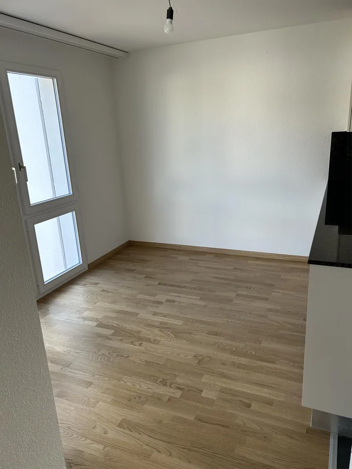 Renovierte und helle  4.5 Zimmer Wohnung