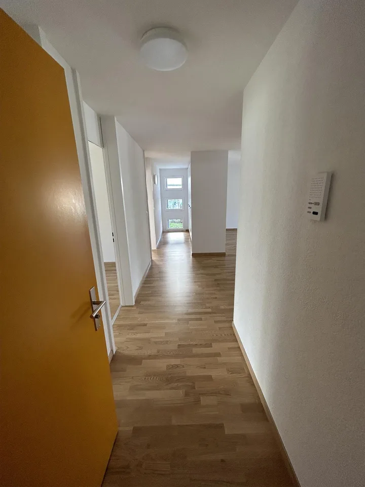 Renovierte und helle 4.5 Zimmer Wohnung