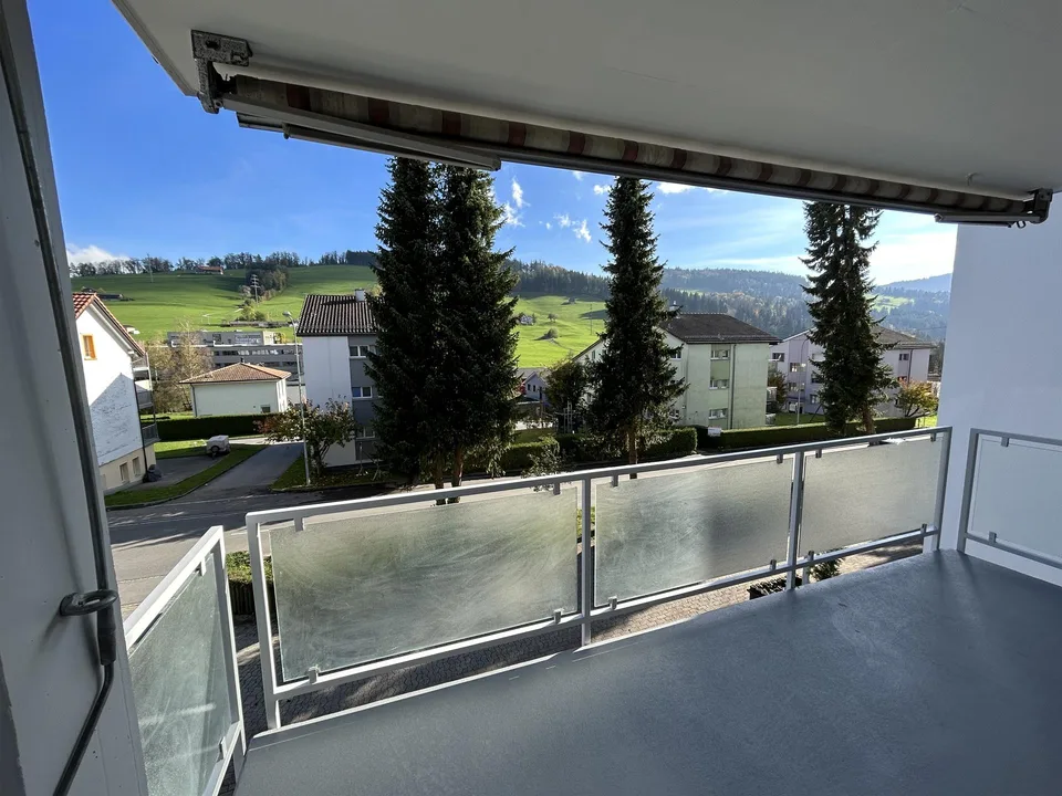 Renovierte und helle 4.5 Zimmer Wohnung