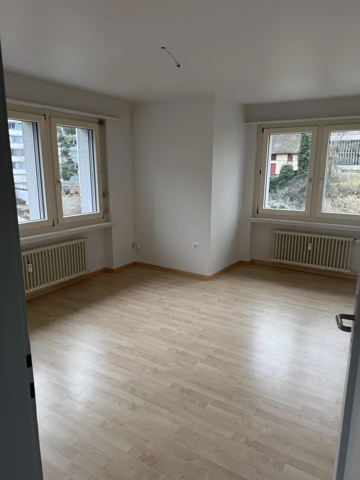 2 1/2 - Zimmer-Wohnung