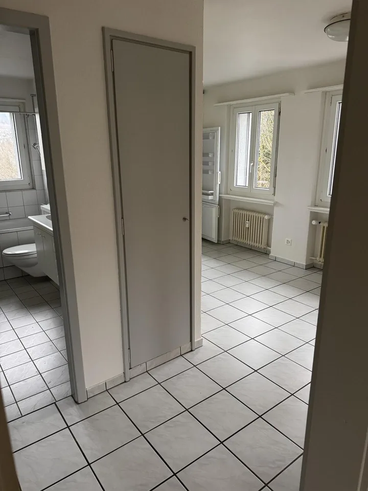 2 1/2 - Zimmer-Wohnung