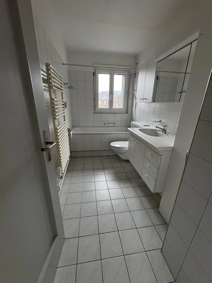 2 1/2 - Zimmer-Wohnung