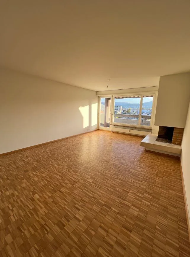 Helle Wohnung im Zentrum von Reinach
