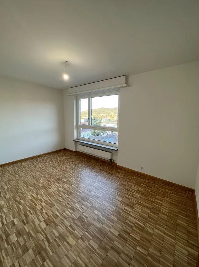 Helle Wohnung im Zentrum von Reinach