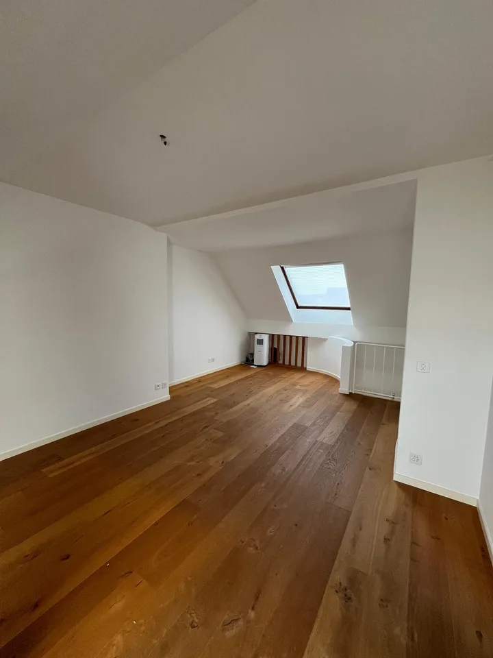 Traumhafte 2.5-Zimmer-Maisonettewohnung über den Dächern von Basel