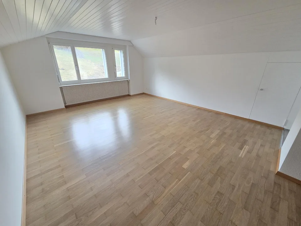 Frisch sanierte 1.5-Zimmerwohnung mit viel Platz in Heiden