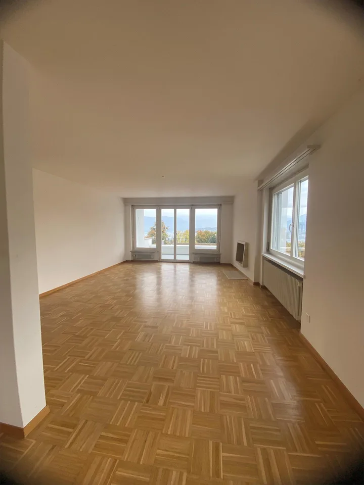 4.5-Zimmerwohnung befristet bis zum 30.06.2028 im Lützelmattquartier