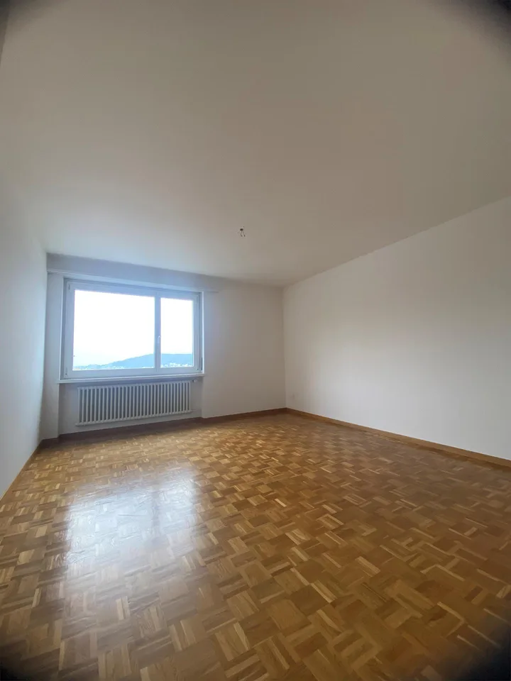 4.5-Zimmerwohnung befristet bis zum 30.06.2028 im Lützelmattquartier – foto 9 di 10
