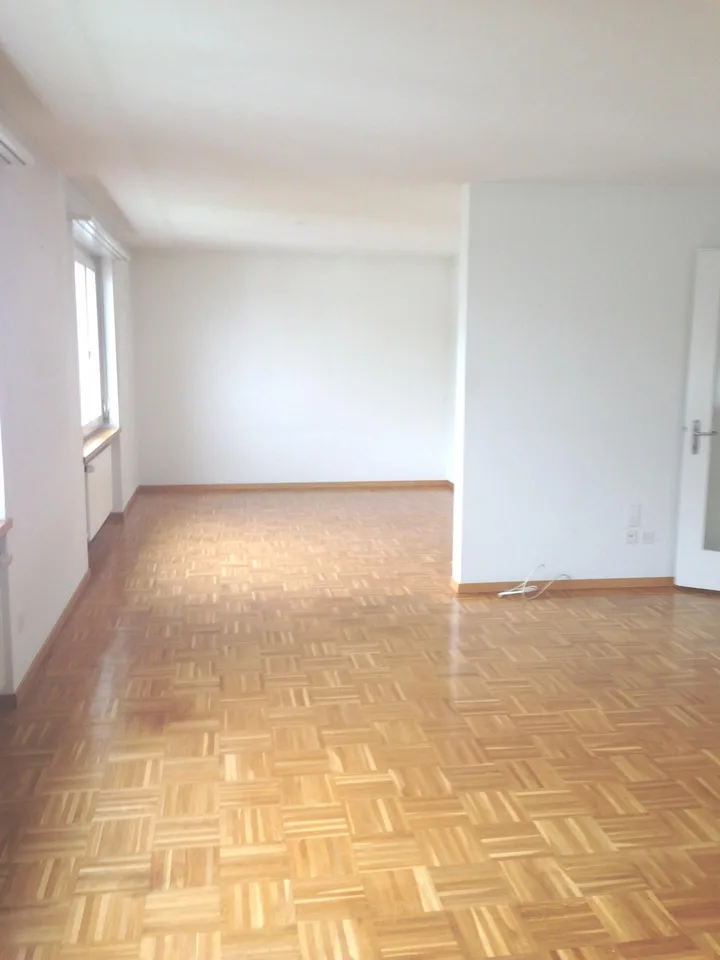 4.5-Zimmerwohnung befristet bis zum 30.06.2028 im Lützelmattquartier