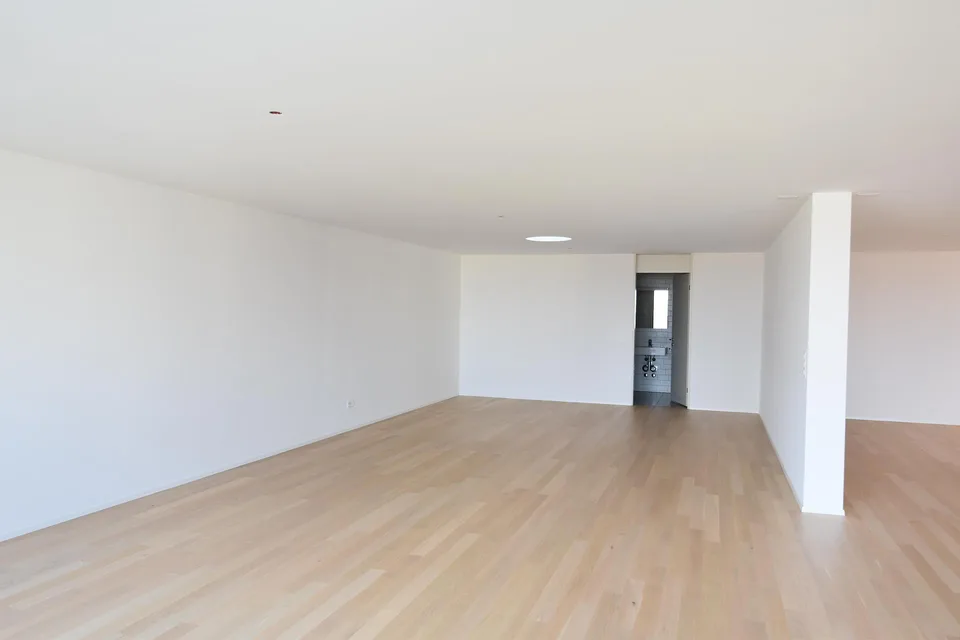 modernes Loft in Romanshorn
