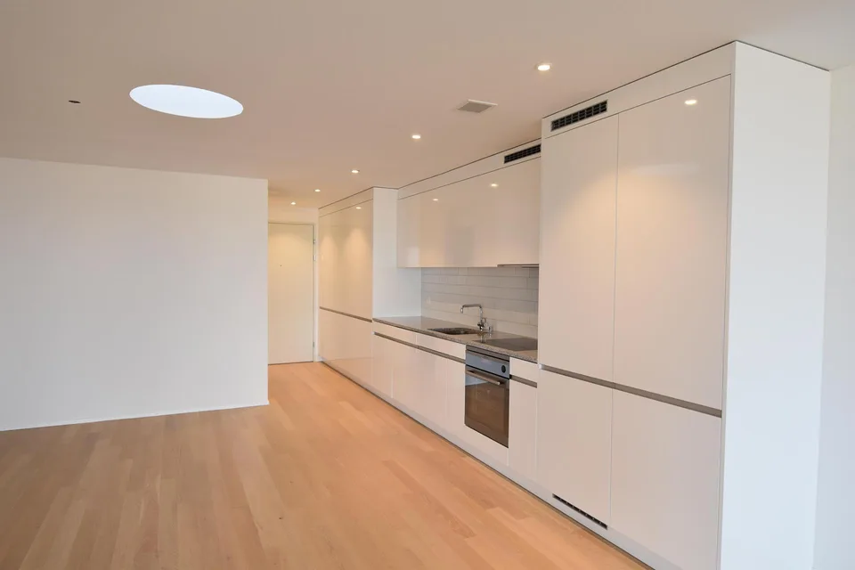 modernes Loft in Romanshorn
