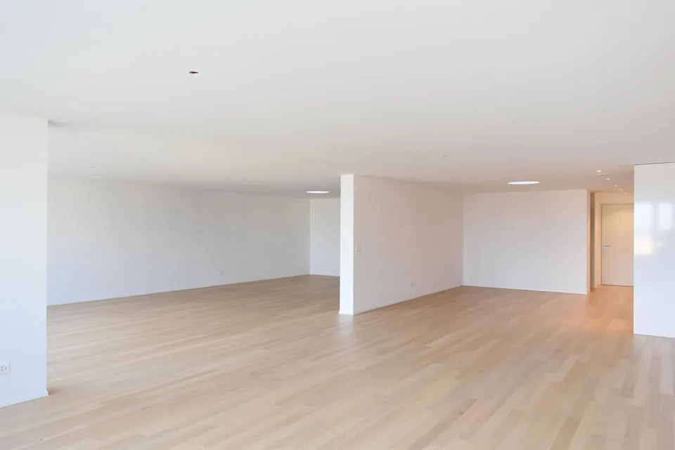 modernes Loft in Romanshorn