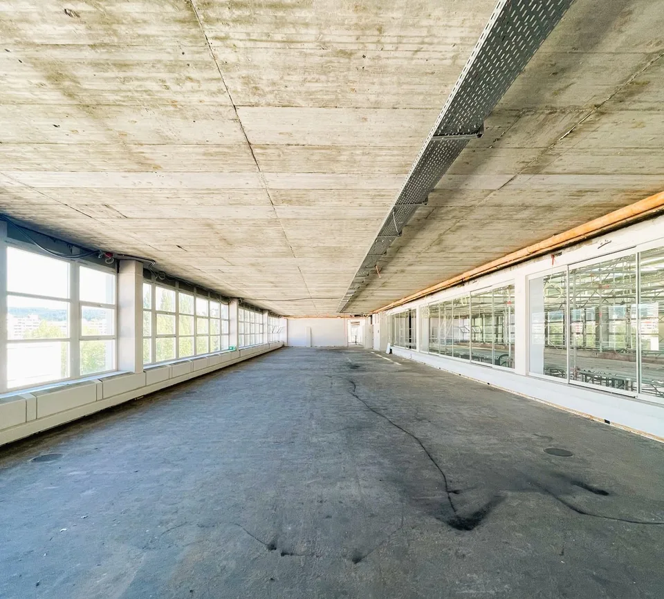 Open Office mit vielen Vorteilen
