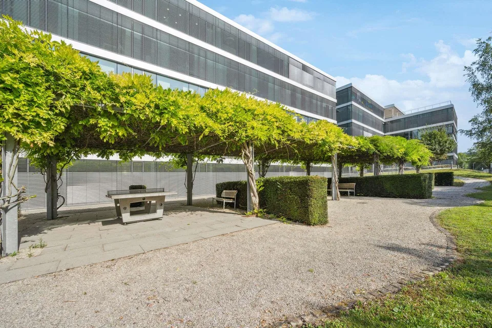 Exzellente Büroflächen direkt am Rheinufer – photo 17 sur 23