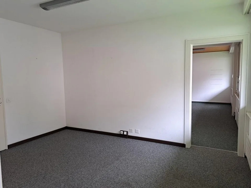 Bureaux lumineux au centre-ville 2 mois de loyers offerts