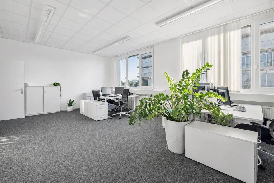 Arbeiten mit Ausblick: Büro mit grosser Terrasse und Parkplätzen