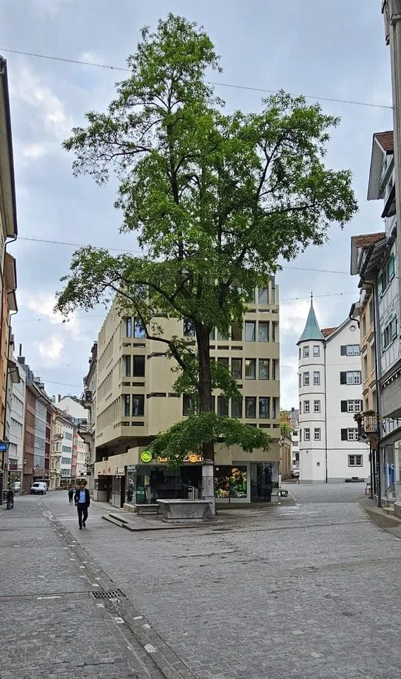 Büro- Schulungs- Praxisräumlichkeiten - Mitten im Zentrum