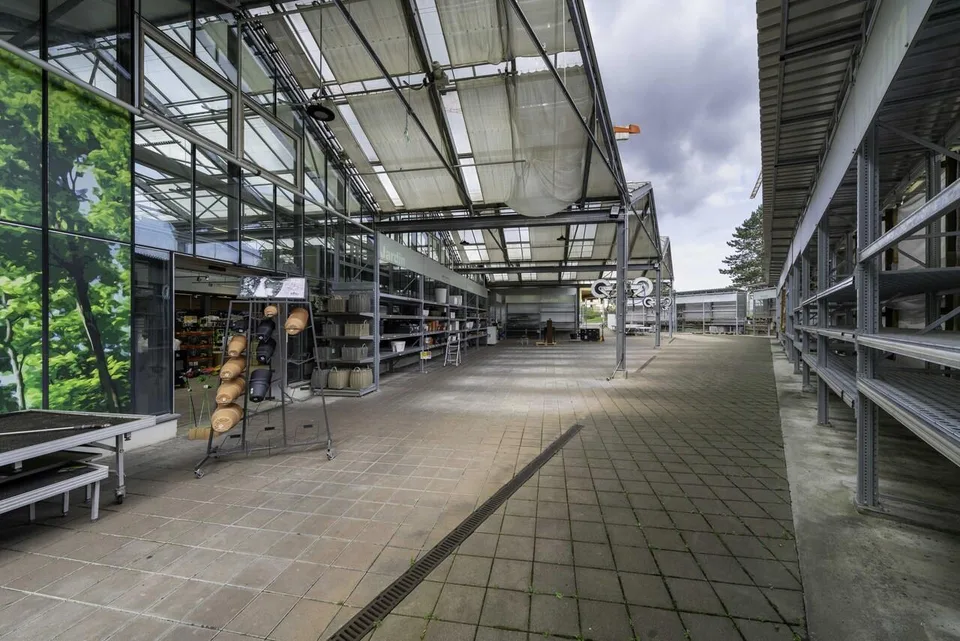 Grosszügige Ladenfläche mit 2'500m2 - MParc Delemont – Foto 14 von 19