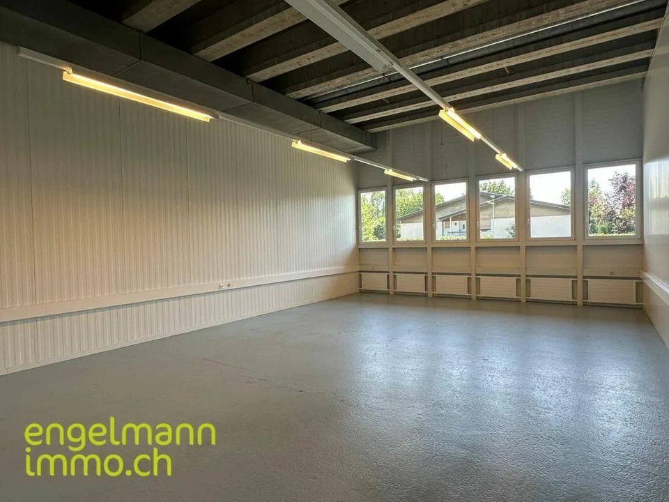Gewerbefläche / Surface commerciale