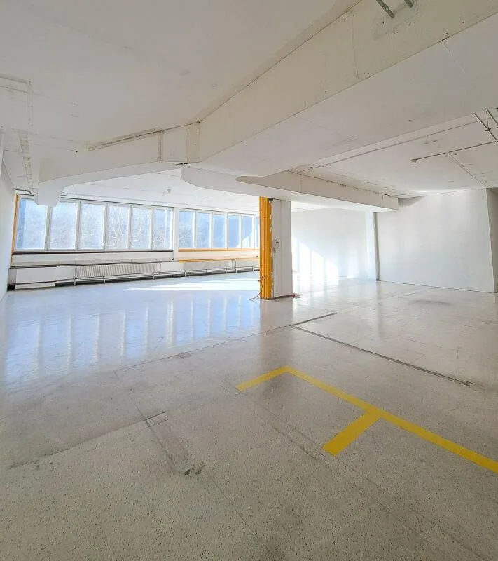 Flexible Büro- und Atelierflächen direkt am Rhein
