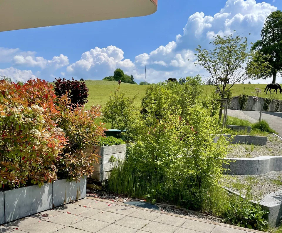 48 m2 Büroraum mit Blick ins Grüne (+14 m2 Sitzungszimmer zur Mitben.)